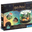 Carica immagine nella galleria, Harry Potter - Terrarium
