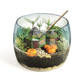 Carica immagine nella galleria, Harry Potter - Terrarium