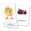 Carica immagine nella galleria, Montessori carte - Prime parole
