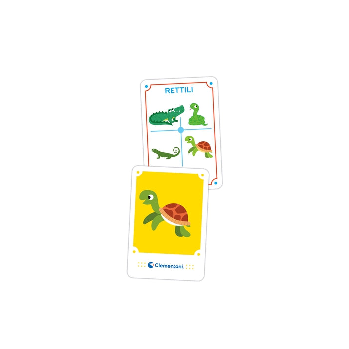 Montessori Flashcards - Il Regno degli Animali