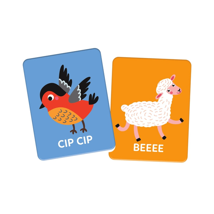 Montessori Flashcards - Che verso fa?