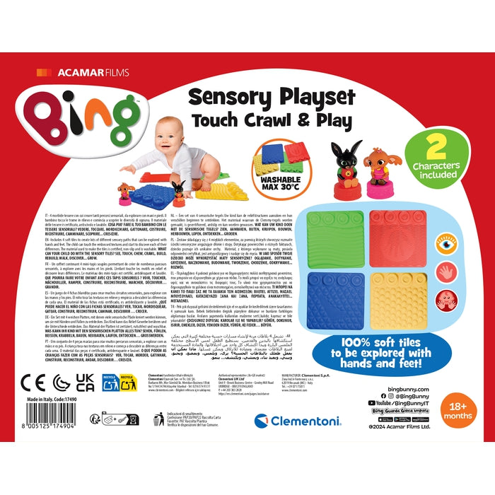 Sensory Play Set Bing!