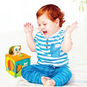 Peekaboo Activity Cube