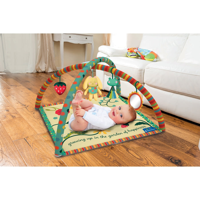 Garden of Happiness Play Gym 
