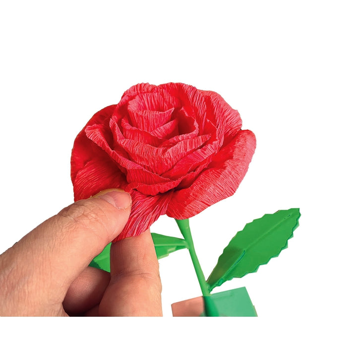 Create your Flowers - Rosa