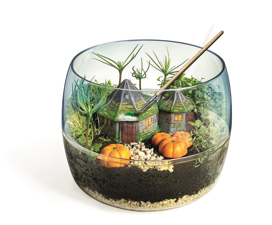 Harry Potter - Terrarium