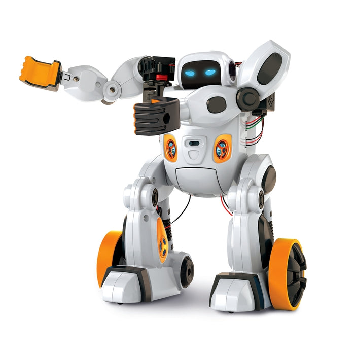 AIRO - Artificial Intelligence Robot