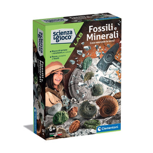 Fossili e Minerali