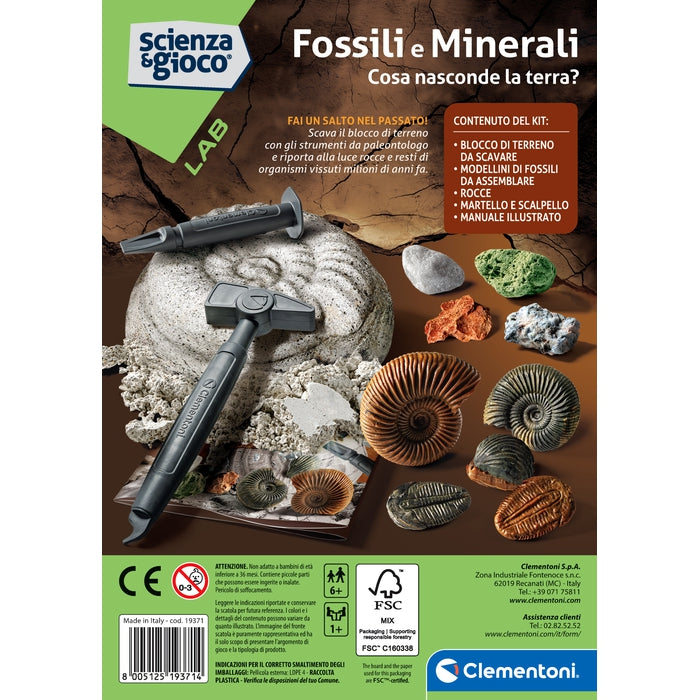 Fossili e Minerali