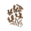 Carica immagine nella galleria, Archeogiocando - Stegosaurus
