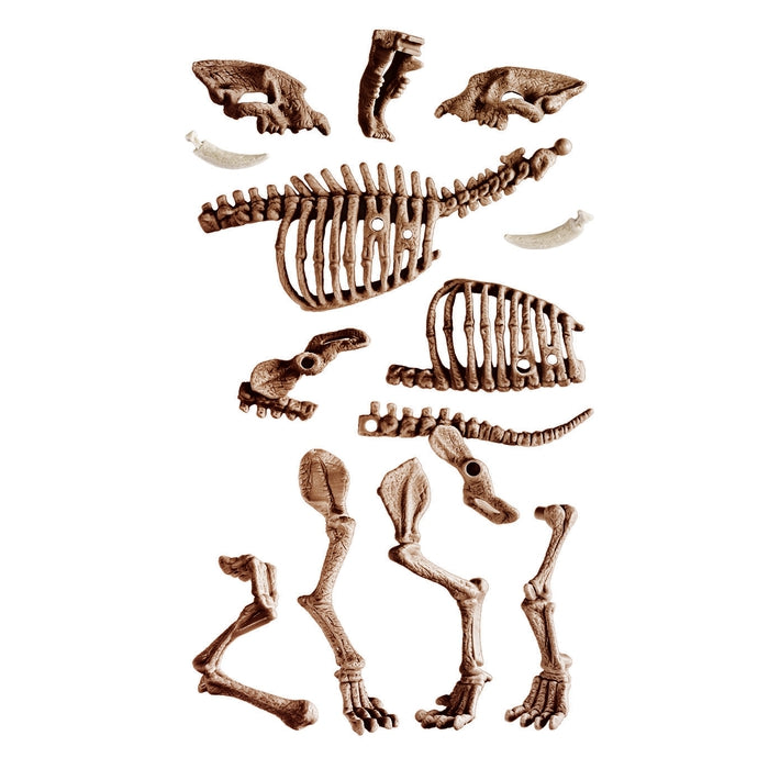 Archeogiocando - T-rex e Smilodon 2in1