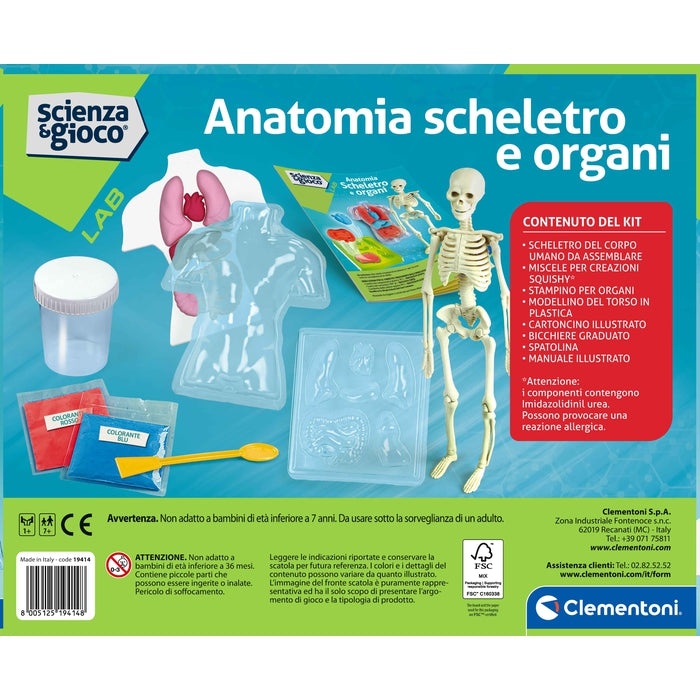 Anatomia Scheletro e Organi