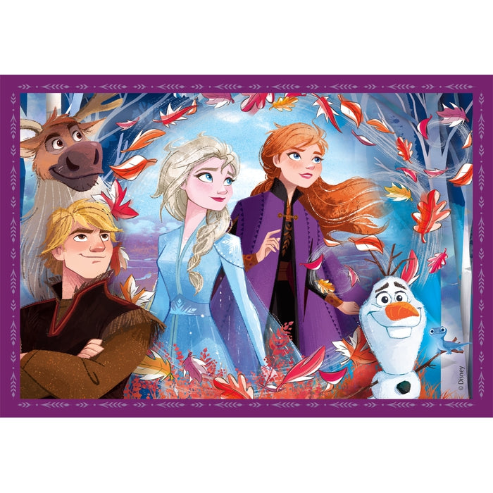 Frozen - 1x12 + 1x16 + 1x20 + 1x24 pezzi