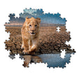 Carica immagine nella galleria, Self Reflection - 300 pezzi
