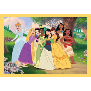 Disney Princess - 1x12 + 1x16 + 1x20 + 1x24 pezzi