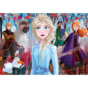 Frozen - 2x20 pezzi