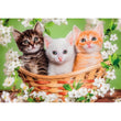 Carica immagine nella galleria, Brothers in Fur - 60 pezzi

