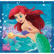Carica immagine nella galleria, Princess - 3x48 pezzi
