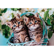 Carica immagine nella galleria, Lovely Kitty Twins - 60 pezzi
