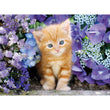 Carica immagine nella galleria, Ginger cat - 500 pezzi
