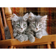 Carica immagine nella galleria, Kittens - 500 pezzi
