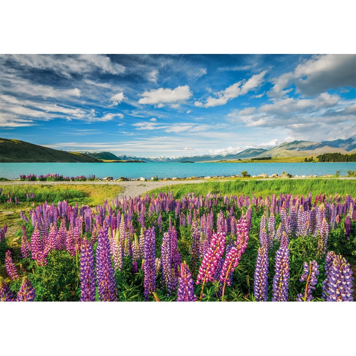 Lupins at Lake Tekapo - 1500 pezzi