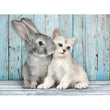 Carica immagine nella galleria, Cat &amp; Bunny - 500 pezzi
