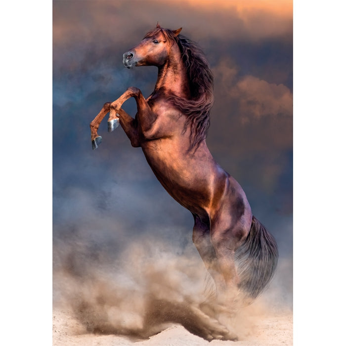 Wild Red Stallion - 500 pezzi