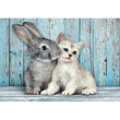 Carica immagine nella galleria, Cat &amp; Bunny - 500 pezzi
