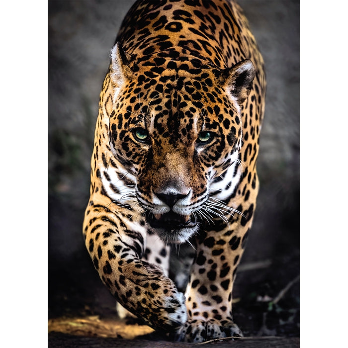 Walk of the Jaguar - 1000 pezzi