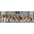 Carica immagine nella galleria, Beagles - 1000 pezzi
