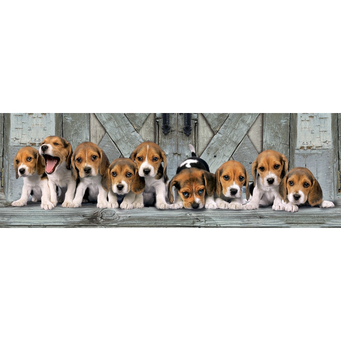 Beagles - 1000 pezzi