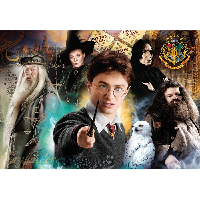 Harry Potter - 1000 pezzi