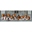 Carica immagine nella galleria, Beagles - 1000 pezzi
