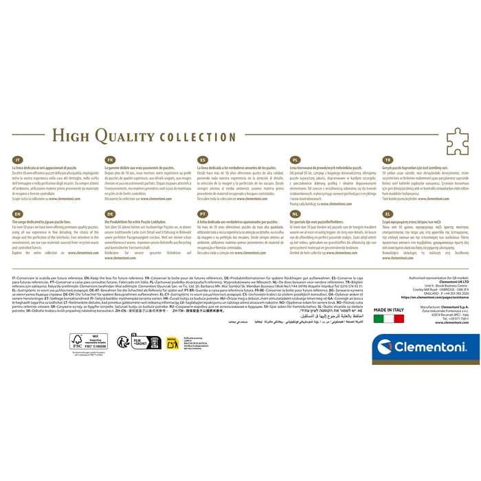 Swinging by the Ocean - 1000 pezzi