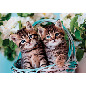 Lovely Kitty Twins - 60 pezzi