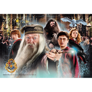 Harry Potter - 104 pezzi