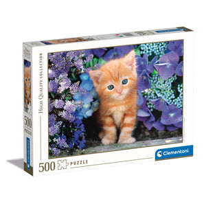 Ginger cat - 500 pezzi