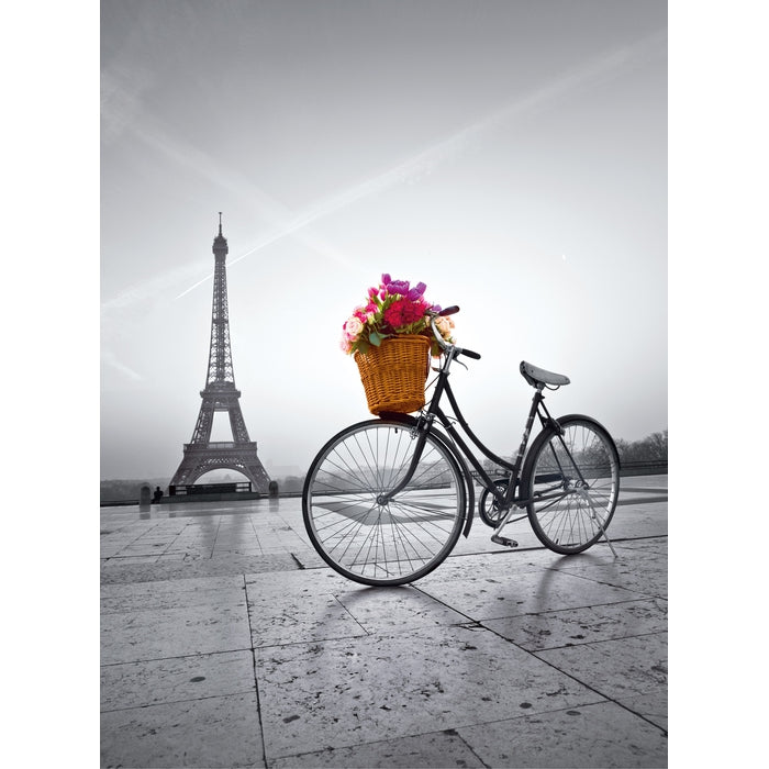 Romantic promenade in Paris - 500 pezzi