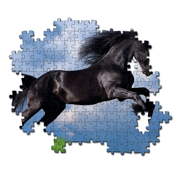 Fresian Black Horse - 500 pezzi