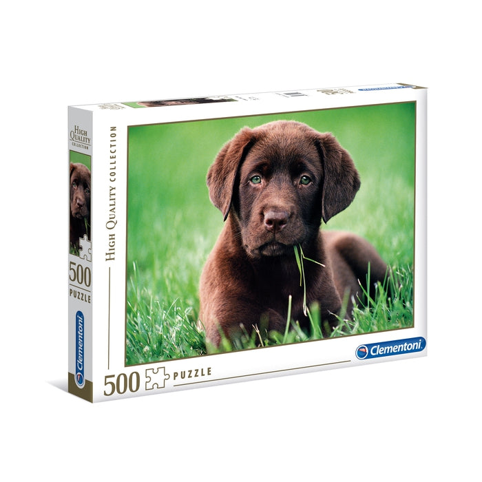 Chocolate Puppy - 500 pezzi