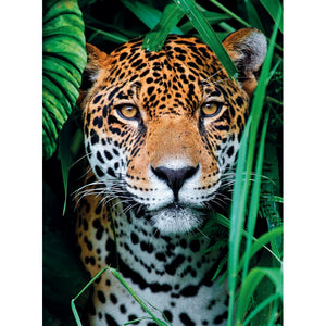 Jaguar in the jungle - 500 pezzi