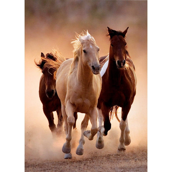 Running Horses - 1000 pezzi