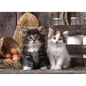 Lovely kittens - 1000 pezzi