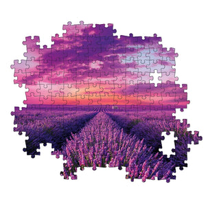 Lavender Field - 1000 pezzi