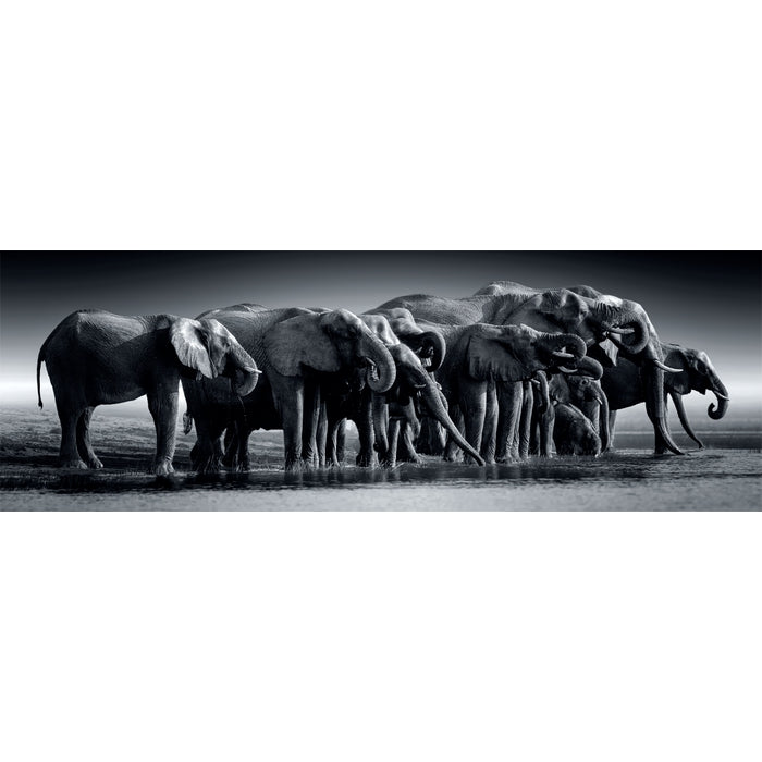 Herd Of Giants - 1000 pezzi
